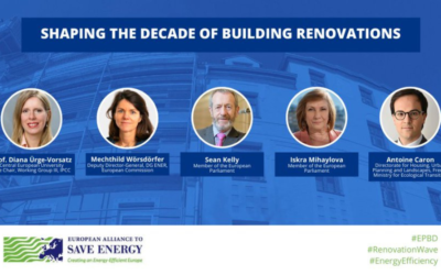 Online workshop: Shaping the decade of building renovations