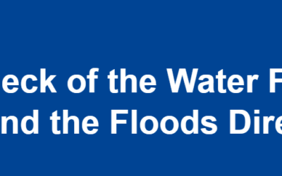 Position on Fitness Check on the Water Framework Directive