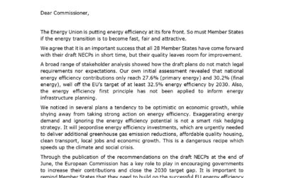 National Energy and Climate Plans – Pledging low on energy efficiency slows down the energy transition