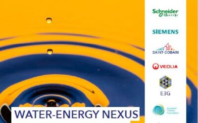 Water-energy nexus and energy saving obligations: industry success stories