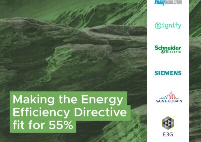 Making the Energy Efficiency Directive fit for 55%