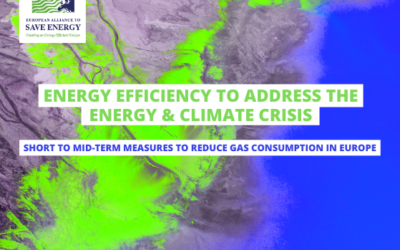 Short to mid-term measures in energy efficiency to reduce gas consumption in Europe