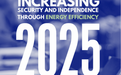 EU-ASE’s 2025 in Review