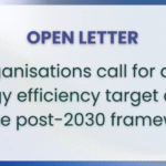 A 2040 EU energy efficiency target: The European Union’s first line of defence