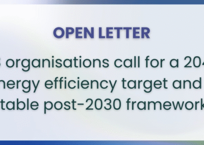 A 2040 EU energy efficiency target: The European Union’s first line of defence