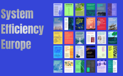 System Efficiency Europe