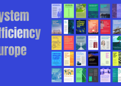 System Efficiency Europe