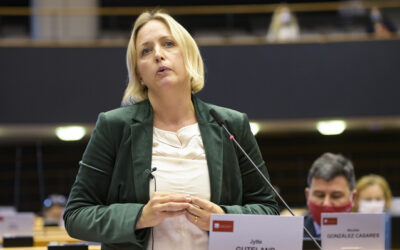 European Parliament push for 60% climate target is good news also for businesses