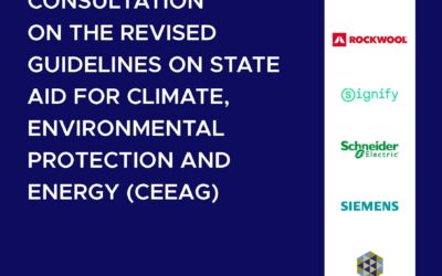 State Aid: Response to the public consultation on the CEEAG revision