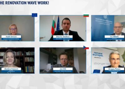 EU-ASE at C4E Webinar with EU Commissioner Kadri Simson