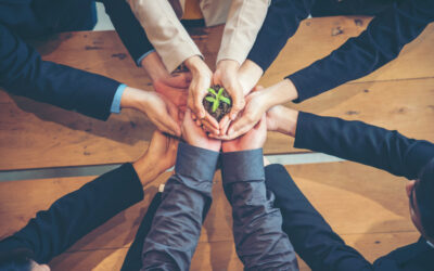 EU-ASE supports call from over 150 CEOs urging EU to raise 2030 emissions target