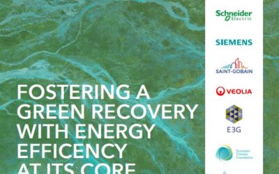 Fostering a green recovery with energy efficiency at its core – 2020 in review