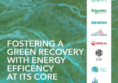 Fostering a green recovery with energy efficiency at its core – 2020 in review