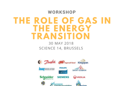 EU-ASE Workshop on energy efficiency, gas, and the energy transition