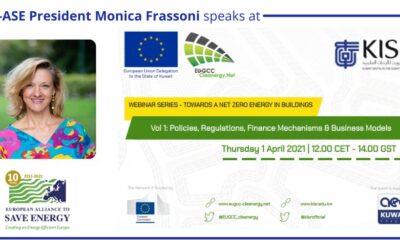 EU-ASE at Towards Net Zero Energy in Buildings