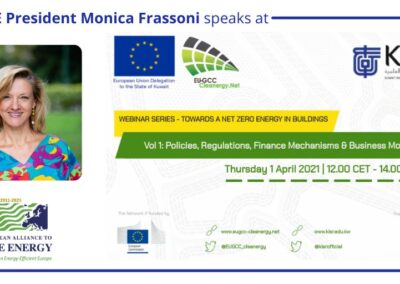 EU-ASE at Towards Net Zero Energy in Buildings