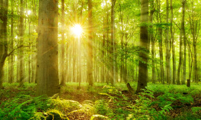 The European Green Deal: a tipping point for good