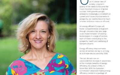 The biggest innovation in energy is efficiency