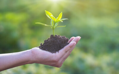 Green recovery: reboot and re-boost our economies for a sustainable future