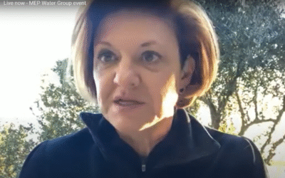 How to make the energy efficiency directive Water-Smart?