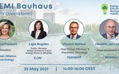 EU-ASE at 6th EEMI Bauhaus webinar