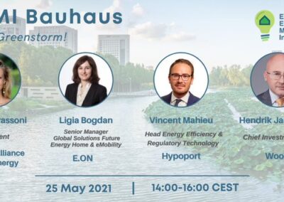 EU-ASE at 6th EEMI Bauhaus webinar