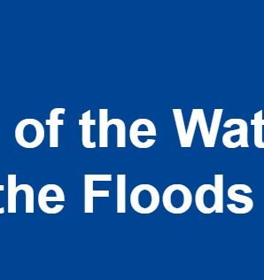 Position on Fitness Check on the Water Framework Directive
