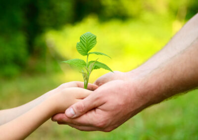 Open letter to ECON and BUDG Committees Members: A green recovery for Europe