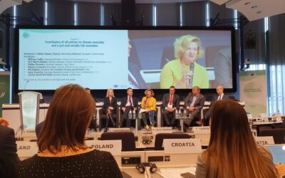 At Climate law conference Monica Frassoni highlights importance of energy efficiency to decarbonise Europe