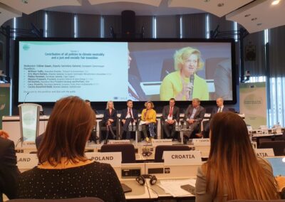 At Climate law conference Monica Frassoni highlights importance of energy efficiency to decarbonise Europe