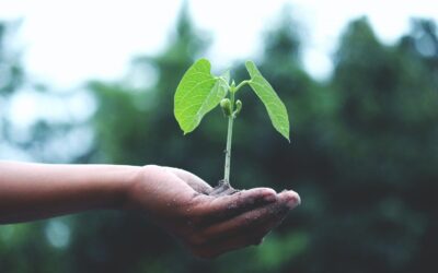 Inputs for economic recovery, resilience and long-term sustainability