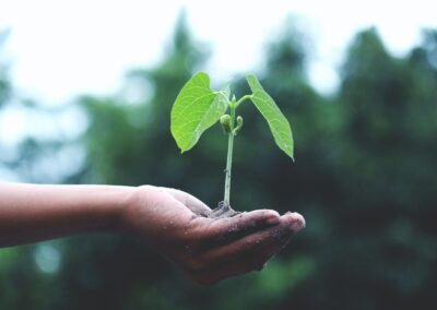 Inputs for economic recovery, resilience and long-term sustainability