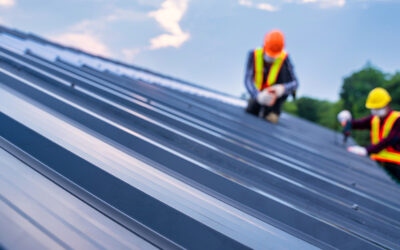 Interview with Debating Europe