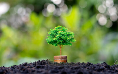 Open letter: EU Taxonomy to deliver economic recovery, resilience and sustainability