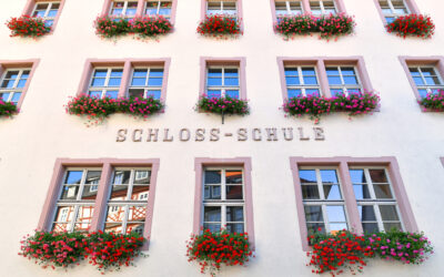 The great potential of non-residential buildings and how to tap into it