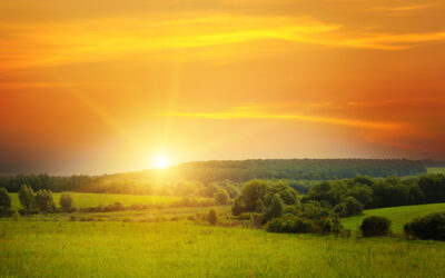 Renewable and efficiency businesses highlight priorities for increased climate ambition