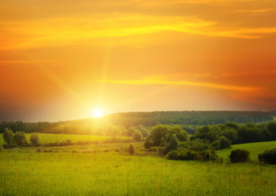 Renewable and efficiency businesses highlight priorities for increased climate ambition